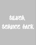 El paquete de servicio Silver