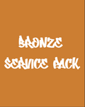 El paquete de servicios de bronce